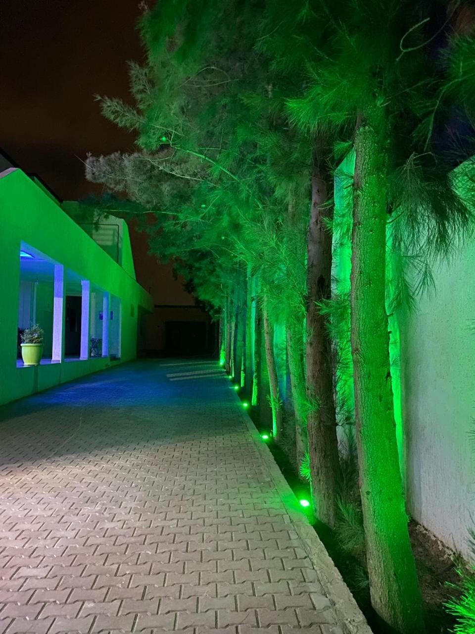 Riad Nice Tagadirt Luaran gambar